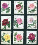 flower_8_front