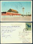 Tibet-India-Postcard-donkey