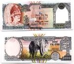 1000